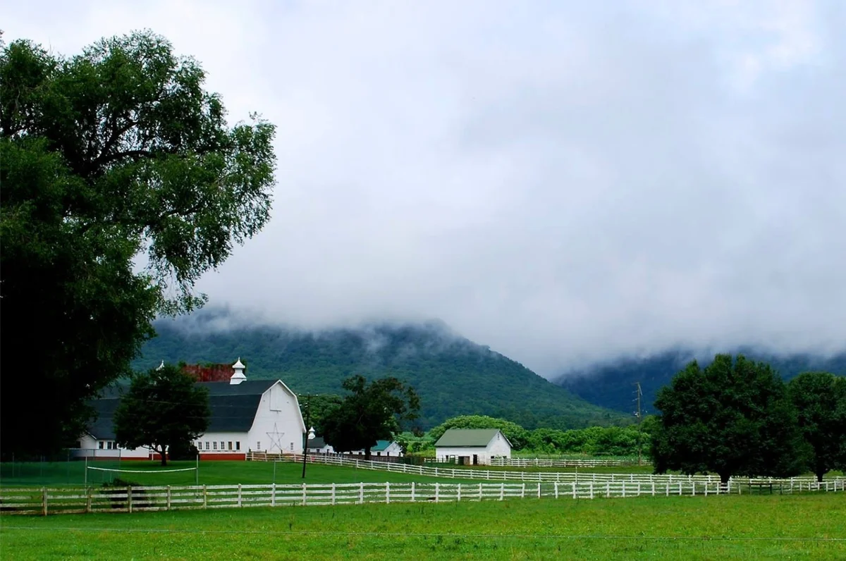 McDonald Farm — venue photo